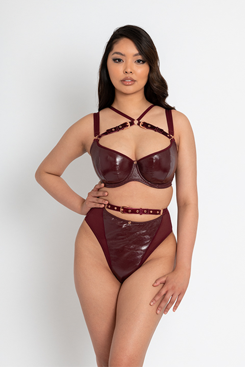 Buckle Up Padded Half Cup Bra - Oxblood - APRICOT