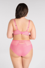 LOLLIPOP BRIEF - Image 2