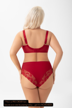 AMIRA Briefs - Image 2