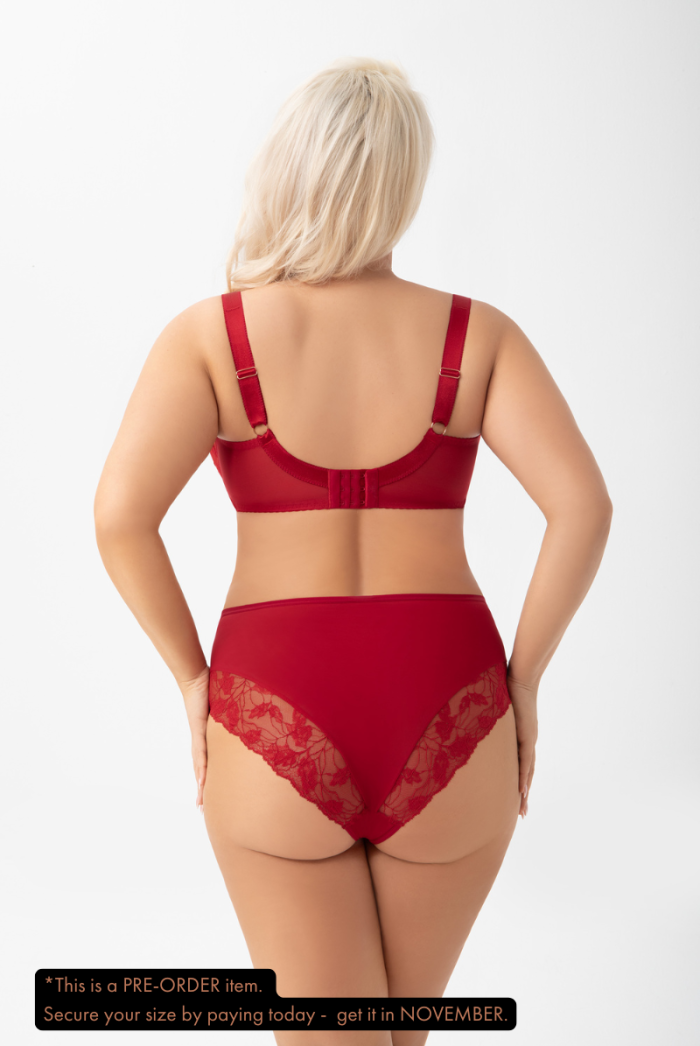 AMIRA Briefs - Image 2